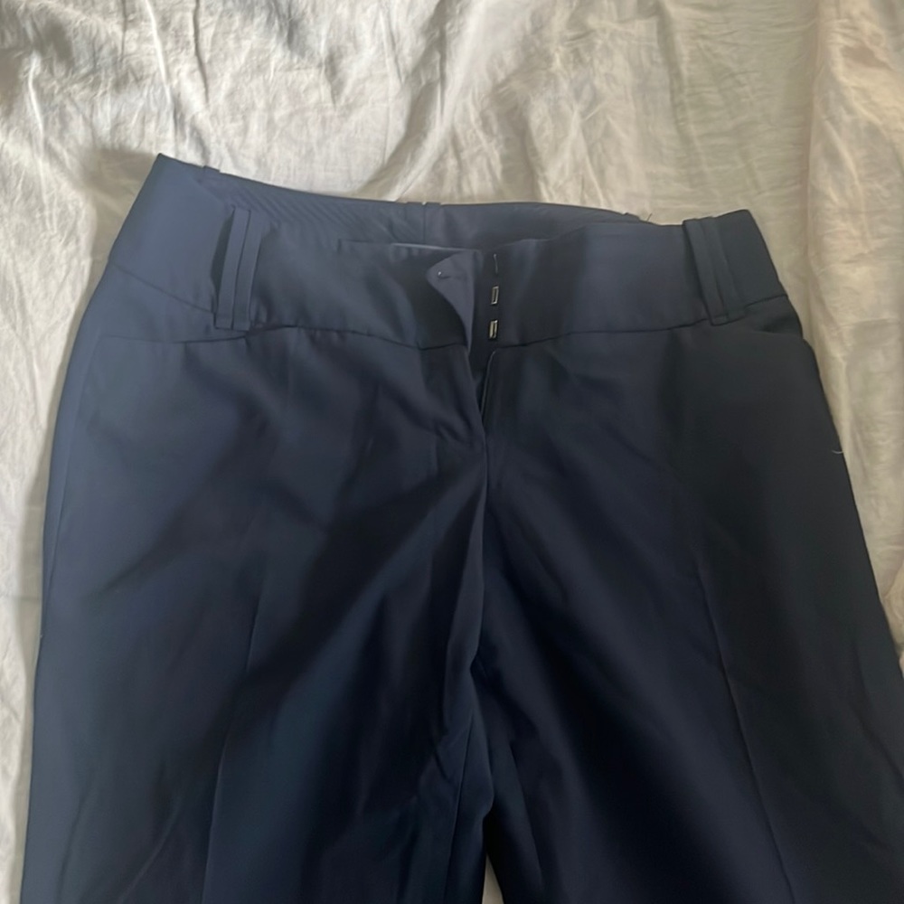 The Limited great condition work pants - lighter weight